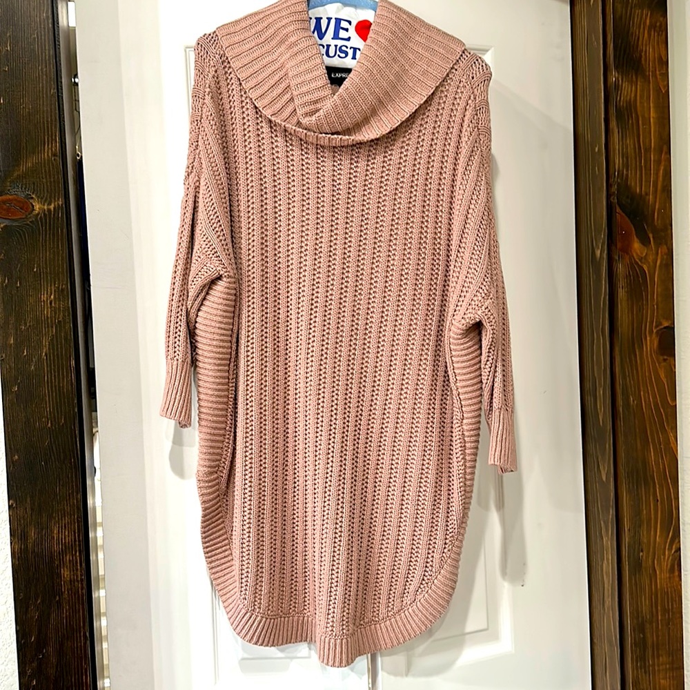 Express Sweater Tunic